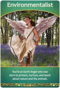 Environmentalist ~ Life Purpose Oracle Cards